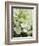 Flowers, Goa, India-R H Productions-Framed Photographic Print