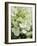 Flowers, Goa, India-R H Productions-Framed Photographic Print