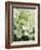 Flowers, Goa, India-R H Productions-Framed Photographic Print