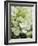 Flowers, Goa, India-R H Productions-Framed Photographic Print