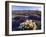 Flowers Growing on Desert, Anza Borrego Desert State Park, California, USA-Adam Jones-Framed Photographic Print