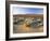 Flowers Growing on Desert, Anza Borrego Desert State Park, California, USA-Adam Jones-Framed Photographic Print