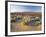 Flowers Growing on Desert, Anza Borrego Desert State Park, California, USA-Adam Jones-Framed Photographic Print