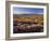 Flowers Growing on Desert Landscape, Sonoran Desert, Anza Borrego Desert State Park, California, US-Adam Jones-Framed Photographic Print