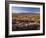 Flowers Growing on Desert Landscape, Sonoran Desert, Anza Borrego Desert State Park, California, US-Adam Jones-Framed Photographic Print