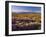 Flowers Growing on Desert Landscape, Sonoran Desert, Anza Borrego Desert State Park, California, US-Adam Jones-Framed Photographic Print