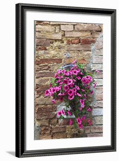 Flowers Hanging on Wall, Pienza, Tuscany, Italy-Terry Eggers-Framed Photographic Print