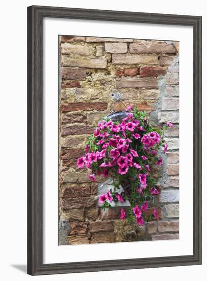 Flowers Hanging on Wall, Pienza, Tuscany, Italy-Terry Eggers-Framed Photographic Print