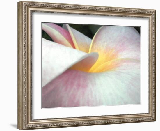 Flowers II-Jim Christensen-Framed Photographic Print
