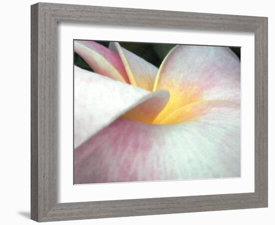 Flowers II-Jim Christensen-Framed Photographic Print