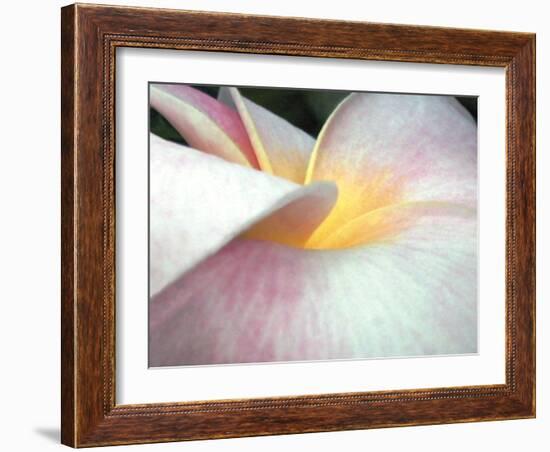 Flowers II-Jim Christensen-Framed Photographic Print