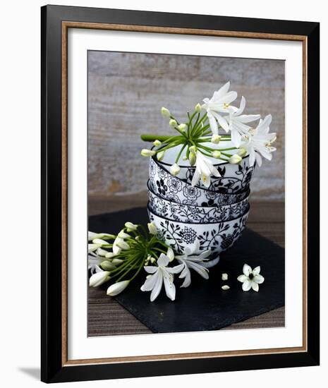 Flowers in a Bowl-Catherine Beyler-Framed Art Print