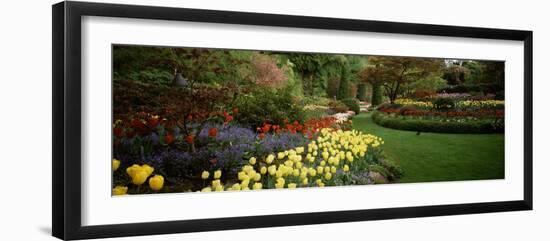 Flowers in a Garden, Butchart Gardens, Brentwood Bay, Vancouver Island, British Columbia, Canada-null-Framed Photographic Print