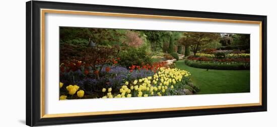 Flowers in a Garden, Butchart Gardens, Brentwood Bay, Vancouver Island, British Columbia, Canada-null-Framed Photographic Print