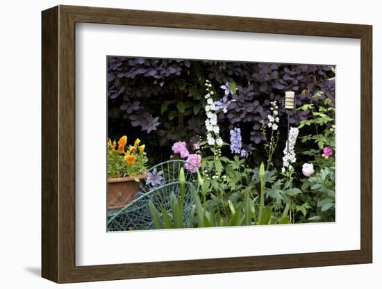 Flowers in a garden-Richard Bryant-Framed Photo