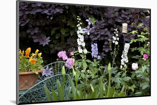 Flowers in a garden-Richard Bryant-Mounted Photo