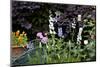 Flowers in a garden-Richard Bryant-Mounted Photo