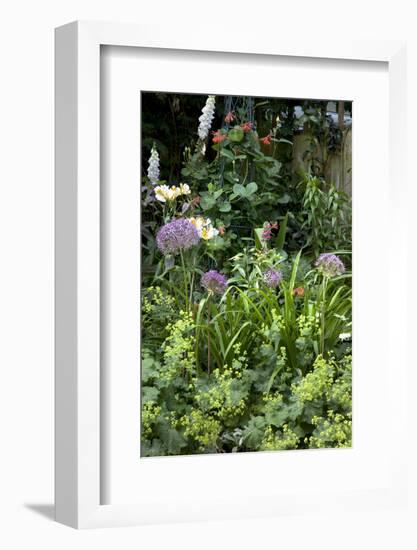 Flowers in a garden-Richard Bryant-Framed Photo