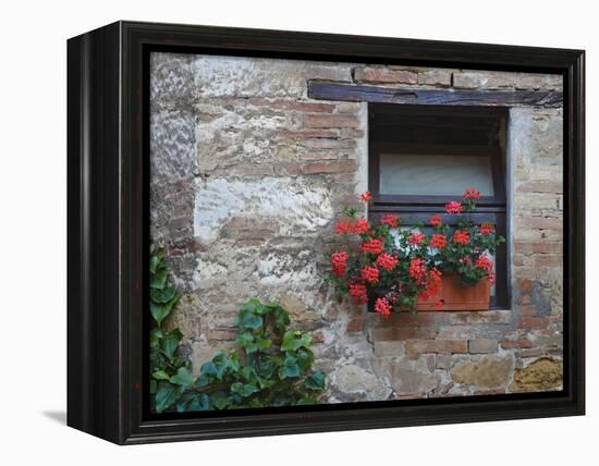 Flowers in a Window In a Tuscan Village, San Quirico d'Orcia, Italy-Dennis Flaherty-Framed Premier Image Canvas