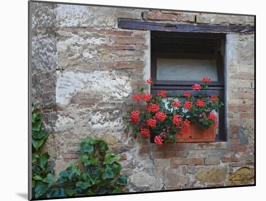 Flowers in a Window In a Tuscan Village, San Quirico d'Orcia, Italy-Dennis Flaherty-Mounted Photographic Print