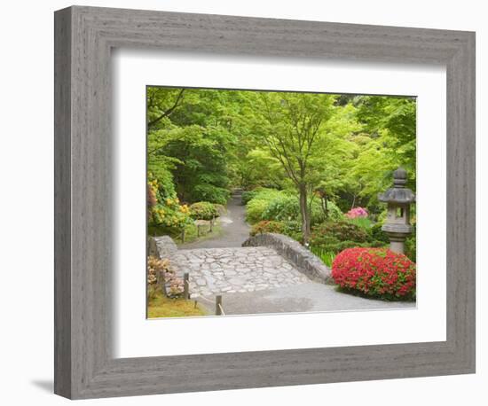 Flowers in Bloom, Japanese Garden, Washington Park Arboretum, Seattle, Washington, USA-Jamie & Judy Wild-Framed Photographic Print