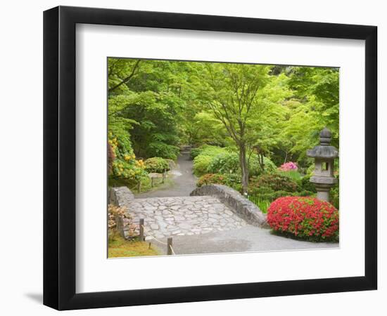 Flowers in Bloom, Japanese Garden, Washington Park Arboretum, Seattle, Washington, USA-Jamie & Judy Wild-Framed Photographic Print