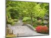 Flowers in Bloom, Japanese Garden, Washington Park Arboretum, Seattle, Washington, USA-Jamie & Judy Wild-Mounted Photographic Print