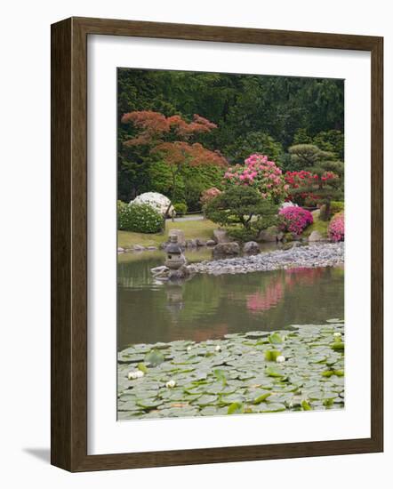 Flowers in Bloom, Japanese Garden, Washington Park Arboretum, Seattle, Washington, USA-Jamie & Judy Wild-Framed Photographic Print