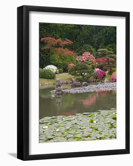 Flowers in Bloom, Japanese Garden, Washington Park Arboretum, Seattle, Washington, USA-Jamie & Judy Wild-Framed Photographic Print