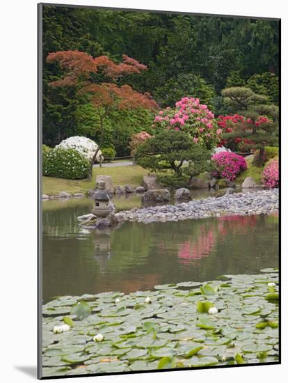 Flowers in Bloom, Japanese Garden, Washington Park Arboretum, Seattle, Washington, USA-Jamie & Judy Wild-Mounted Photographic Print