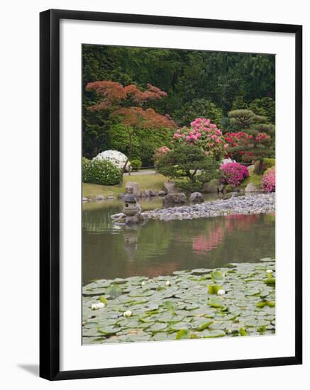 Flowers in Bloom, Japanese Garden, Washington Park Arboretum, Seattle, Washington, USA-Jamie & Judy Wild-Framed Photographic Print