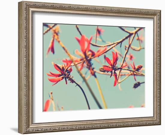 Flowers in Bloom on a Tree-Myan Soffia-Framed Photographic Print