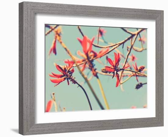 Flowers in Bloom on a Tree-Myan Soffia-Framed Photographic Print