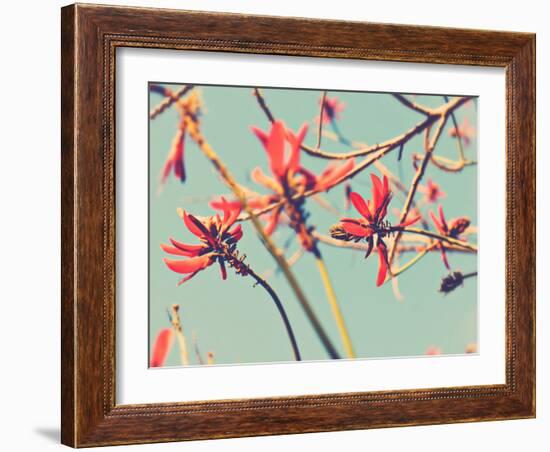 Flowers in Bloom on a Tree-Myan Soffia-Framed Photographic Print