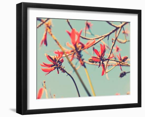 Flowers in Bloom on a Tree-Myan Soffia-Framed Photographic Print