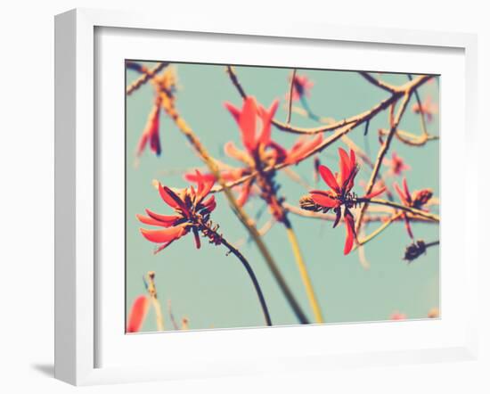 Flowers in Bloom on a Tree-Myan Soffia-Framed Photographic Print