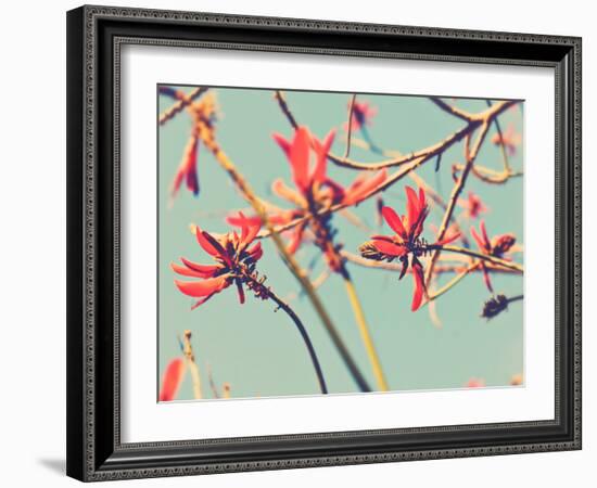 Flowers in Bloom on a Tree-Myan Soffia-Framed Photographic Print