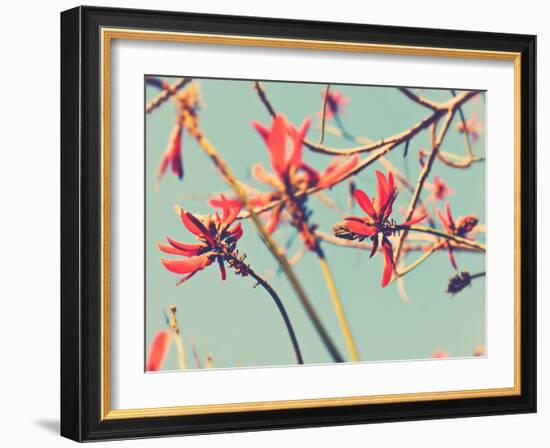 Flowers in Bloom on a Tree-Myan Soffia-Framed Photographic Print