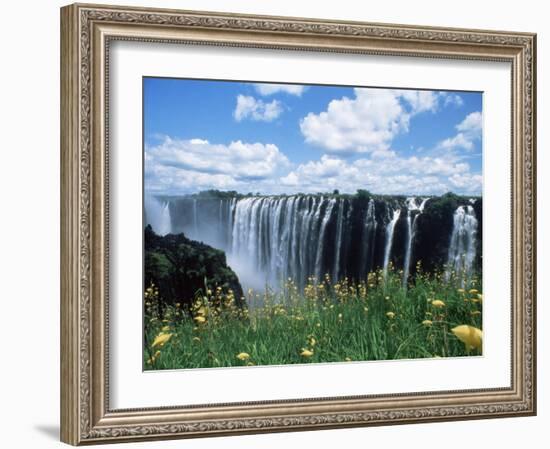 Flowers in Bloom with the Victoria Falls Behind, Unesco World Heritage Site, Zambia, Africa-D H Webster-Framed Photographic Print