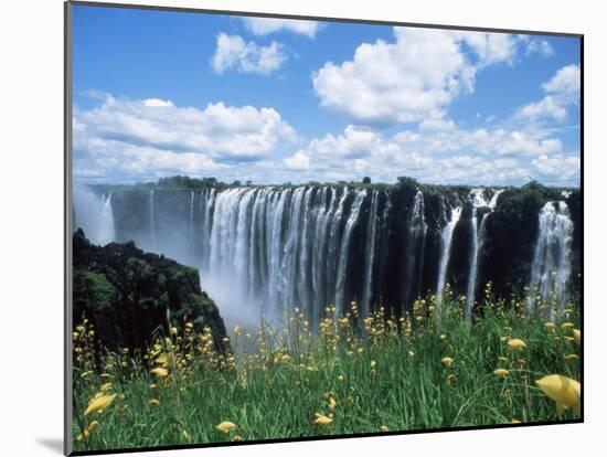 Flowers in Bloom with the Victoria Falls Behind, Unesco World Heritage Site, Zambia, Africa-D H Webster-Mounted Photographic Print