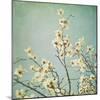 Flowers in Bloom-Myan Soffia-Mounted Photographic Print