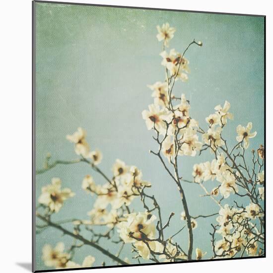 Flowers in Bloom-Myan Soffia-Mounted Photographic Print