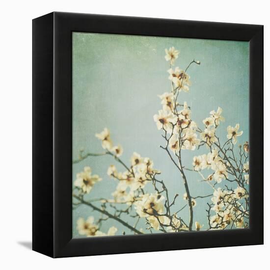 Flowers in Bloom-Myan Soffia-Framed Premier Image Canvas