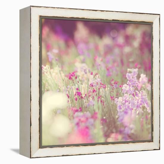 Flowers in Bloom-Myan Soffia-Framed Premier Image Canvas