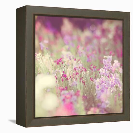 Flowers in Bloom-Myan Soffia-Framed Premier Image Canvas