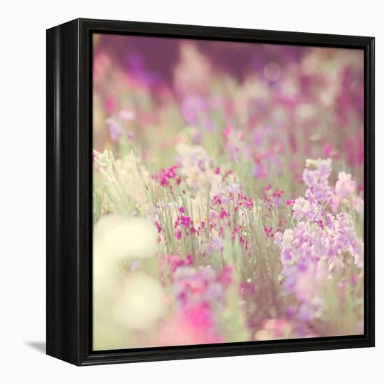 Flowers in Bloom-Myan Soffia-Framed Premier Image Canvas