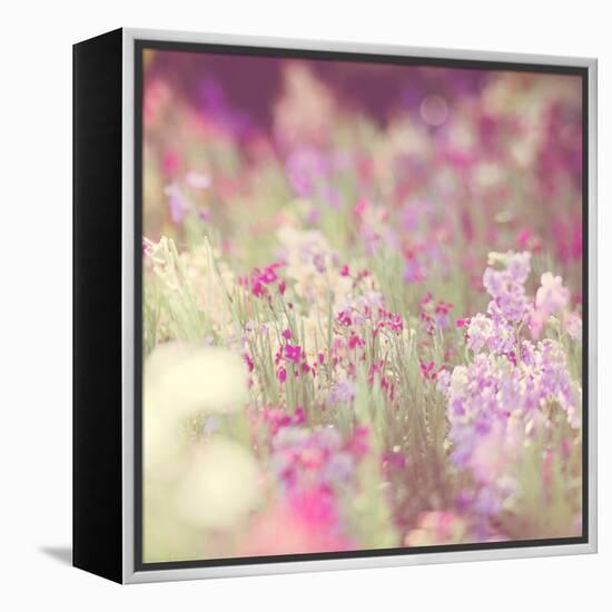 Flowers in Bloom-Myan Soffia-Framed Premier Image Canvas