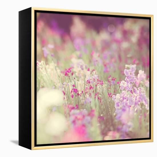 Flowers in Bloom-Myan Soffia-Framed Premier Image Canvas