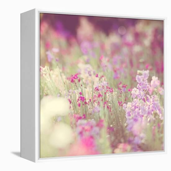 Flowers in Bloom-Myan Soffia-Framed Premier Image Canvas