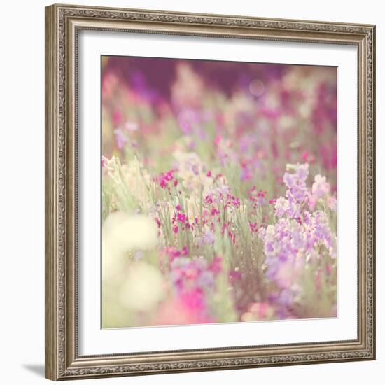 Flowers in Bloom-Myan Soffia-Framed Photographic Print